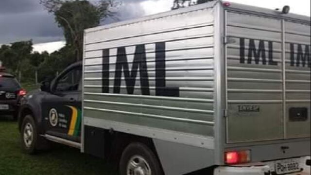Homem morre em Morrinhos após ser picado por abelhas