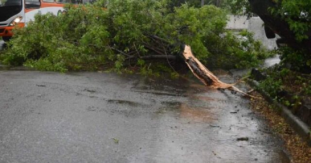 Tempo fecha e forte chuva com ventania atinge Pires do Rio (GO), causando estragos