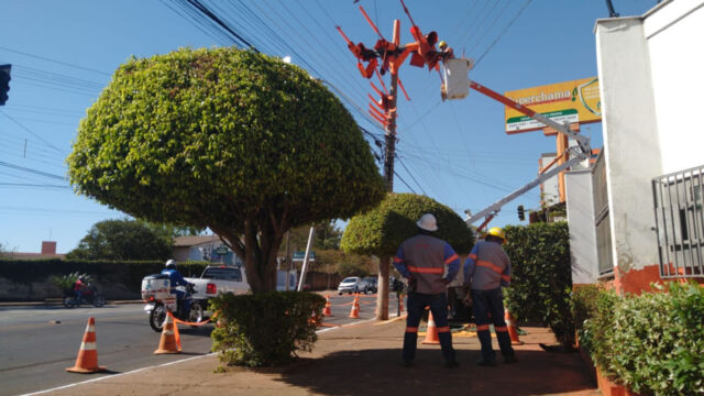 Produtores rurais relatam lentidão em atendimento para abastecimento de energia elétrica