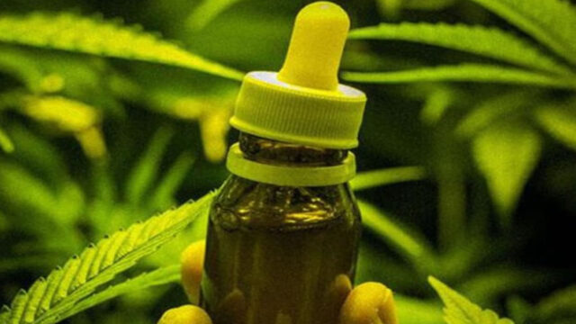Anvisa regula remédio de maconha e produto será vendido em farmácia