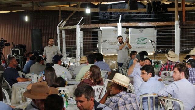 Segundo leilão de touros do Grupo Nelore 4x4 aconteceu no último sábado