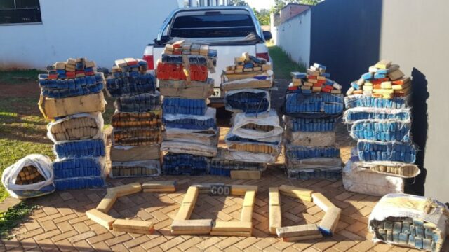 Em média, mais de 150 kg de drogas foram apreendidos por dia em Goiás em 2019