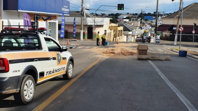 Carga de tripas de animal cai de caminhão e deixa Avenida interditada em Catalão