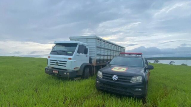 Polícia Militar recupera 13 cabeças de gado furtadas de propriedade rural no município Catalão