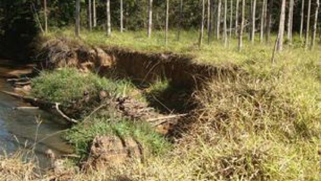 MP aciona fazendeiros e empresário de Goiandira por dano ambiental provocado na extração de areia