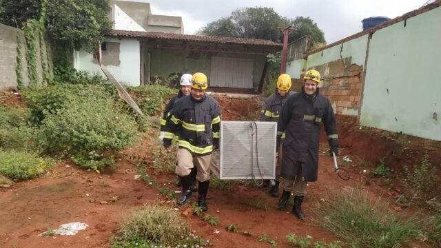 Lobo-guará é capturado pelo Corpo de Bombeiros em Catalão