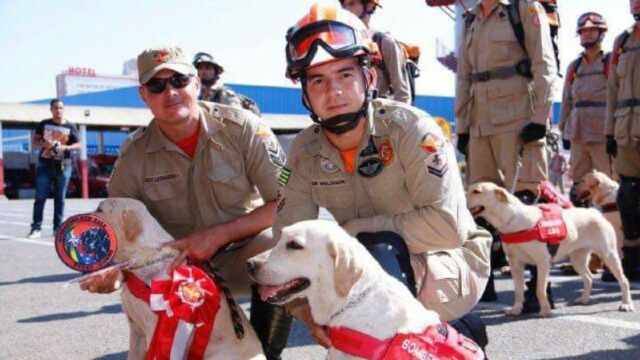Cerimônia no Corpo de Bombeiros Militar marca aposentadoria de cadela que atuou no resgate em Brumadinho