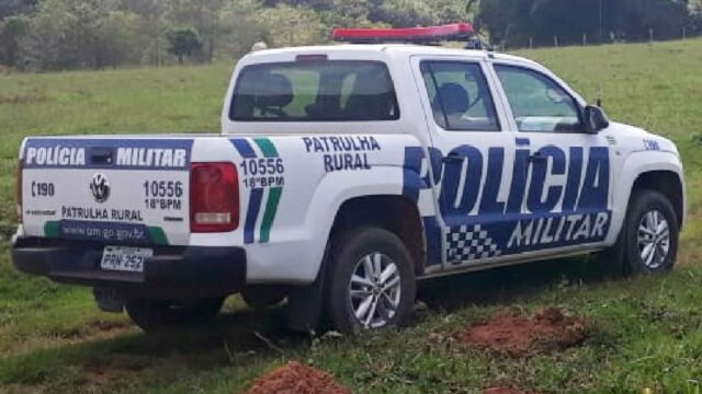 Em Cumari, produtor tem gado de leite furtado e prejuízo estimado em R$ 100 mil