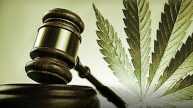 Polícia Militar realiza apreensão de drogas em Anhanguera