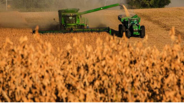 Agronegócio goiano exporta para 133 países no primeiro bimestre de 2020