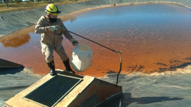 Bombeiros são acionados para captura de duas serpentes da espécie cascavel, em Urutaí