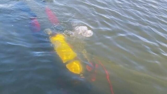 Bombeiros de Caldas Novas buscam à mais de 6 horas por homem que desapareceu no Rio Piracanjuba