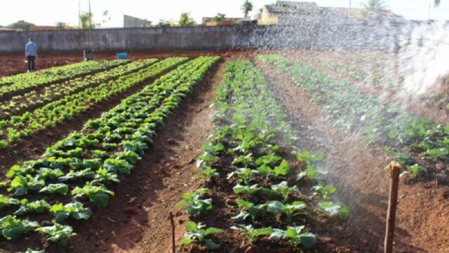 Com apoio de voluntários, horta comunitária ajuda famílias carentes de Três Ranchos