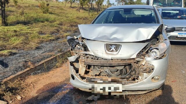 Fumaça de queimada causa engavetamento na GO-330 em Catalão