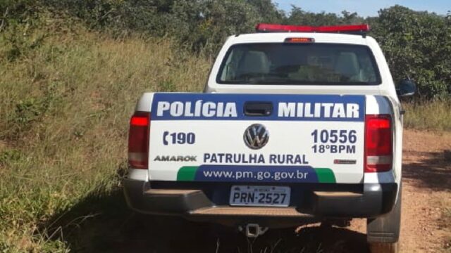 PM registra furto de 45 cabeças de gado em fazenda no município de Davinópolis