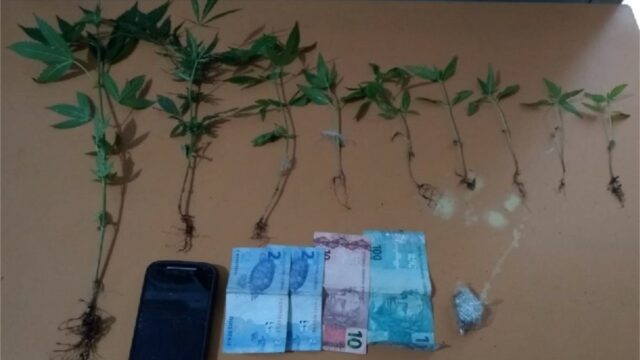 PM realiza prisão de suspeito, apreende drogas e pés de maconha em Ipameri