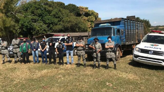 Batalhão Rural recupera 41 cabeças de gado furtadas na região de Bela Vista de Goiás e Cristinópolis