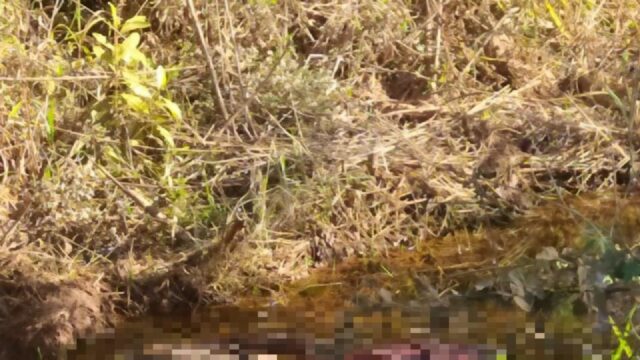 PM registra ocorrência de encontro de cadáver em Campo Alegre de Goiás