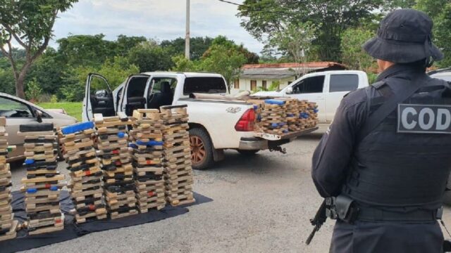 Cruzada contra o tráfico: 81 toneladas de drogas são retiradas de circulação em Goiás, em 18 meses
