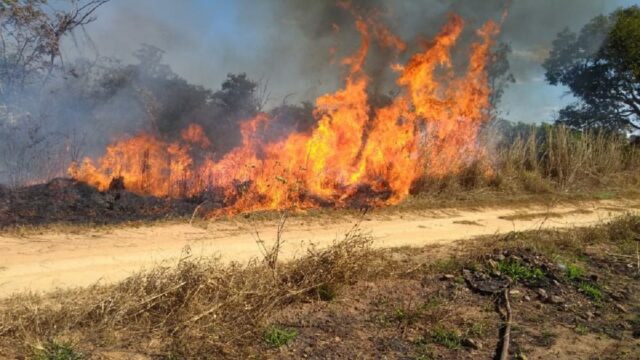 Bombeiros combatem incêndio no Parque Municipal em Ipameri