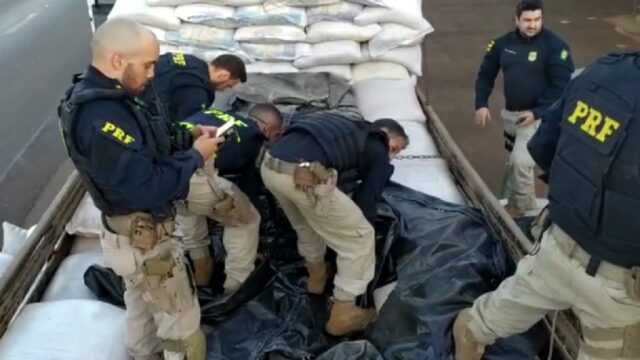 Motorista é preso com mais de 1,5 tonelada de maconha escondida sob carga de aveia em Jataí