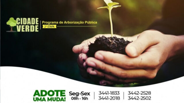 Programa Cidade Verde: em segunda etapa projeto da Prefeitura segue arborizando Catalão