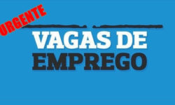Confira as 358 oportunidades de emprego oferecida pela SETRAER nesta quinta-feira (03)