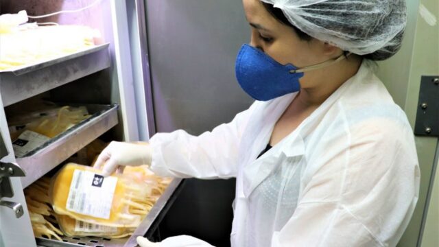 Hemocentro: Governo de Goiás busca doadores de plasma para estudo de tratamento da Covid