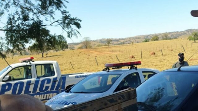 Ladrões furtam nove cabeças de gado de propriedade rural, em Cumari