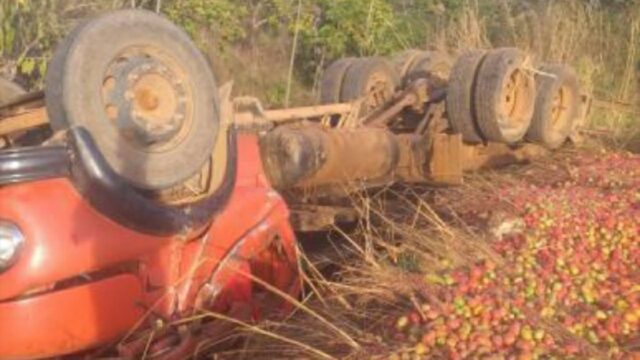 Motorista de 69 anos morre após caminhão carregado com tomate capotar na GO 330
