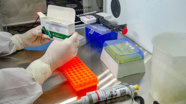 Covid-19: Anvisa autoriza testes para nova vacina da Johnson & Johnson