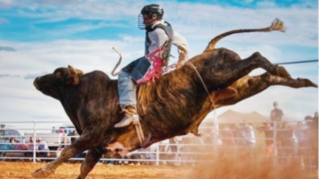Fim dos Rodeios? Juiz proíbe rodeios com animais em MG; decisão pode afetar eventos