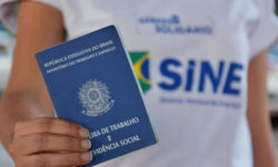 Secretaria de Trabalho e Renda de Catalão (SINE) oferece 268 vagas de emprego para esta terça-feira (25); confira