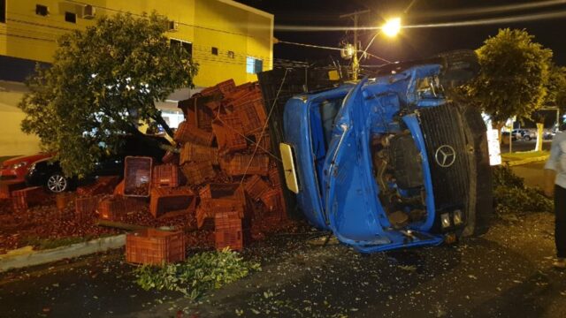 Caminhão sem freio carregado com pimenta colide contra árvore em avenida de Catalão