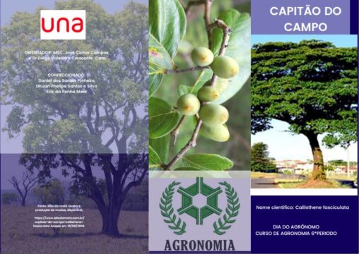 Una realiza distribuição de mudas do cerrado para comunidade no próximo sábado em Catalão