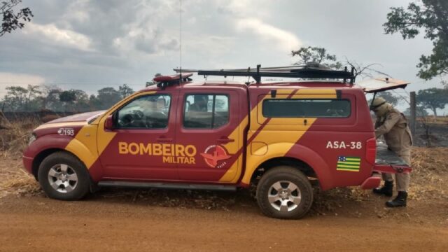 Bombeiros controlam incêndio em área de vegetação próxima a eucaliptos, em Ipameri