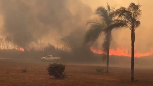 Imagens mostram destruição causada por incêndio em Vazante