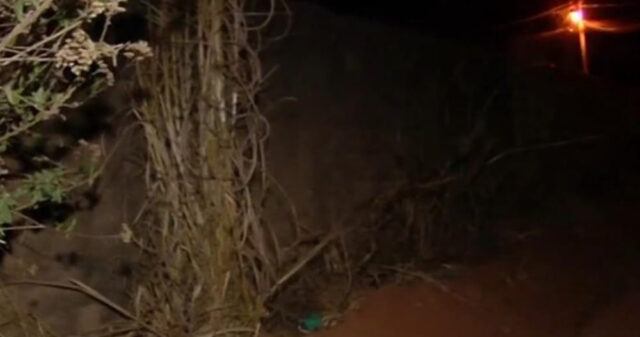 Bebê é encontrada morta enrolada em toalha em lote baldio de Aparecida de Goiânia