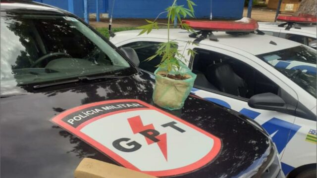 Jovem é preso suspeito de tráfico de drogas em Distrito de Catalão