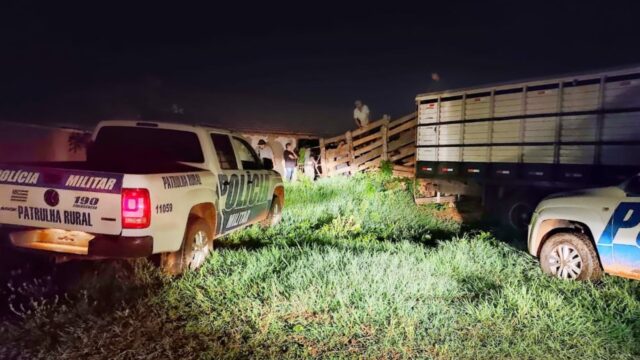 Em Cristalina, operação conjunta entre o 18º BPM de Catalão e Batalhão Rural de Goiás, recupera 10 cabeças de gado furtada