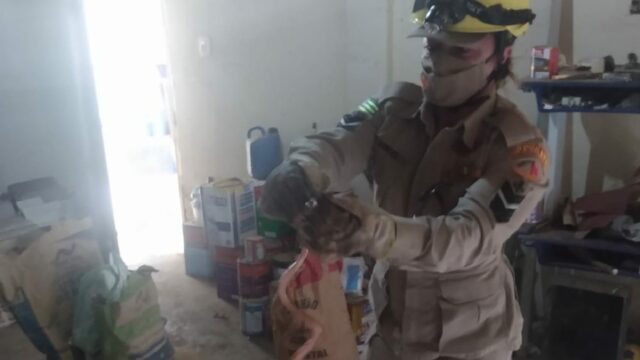 Cobra é encontrada em dispensa de escola particular em Ipameri