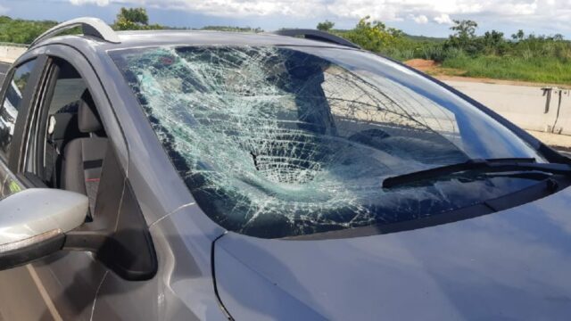 Idoso de 81 anos morre atropelado ao tentar atravessar a BR-050, no município de Cumari
