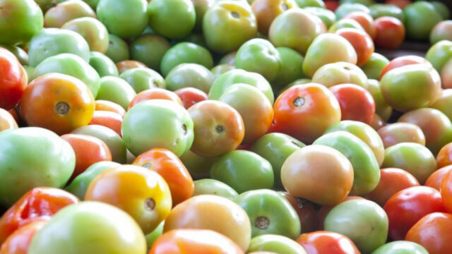 Valor Bruto de Produção da Agropecuária deve alcançar R$ 72,1 bilhões, em Goiás