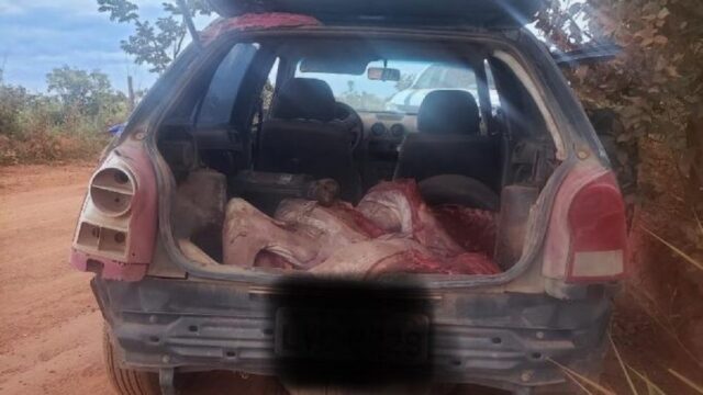 PM interrompe furto de bovino na zona rural de Paracatu; criminoso fugiu