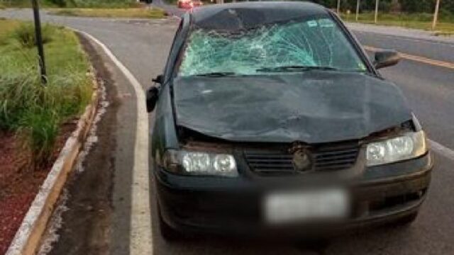 Carro atropela cavalo na GO-139 em Caldas Novas