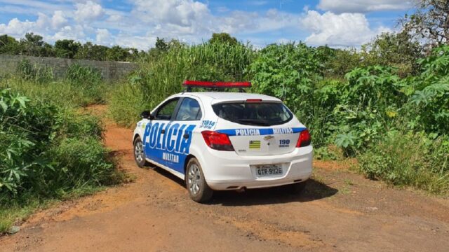 Cachorro é agredido com golpes de faca em Catalão