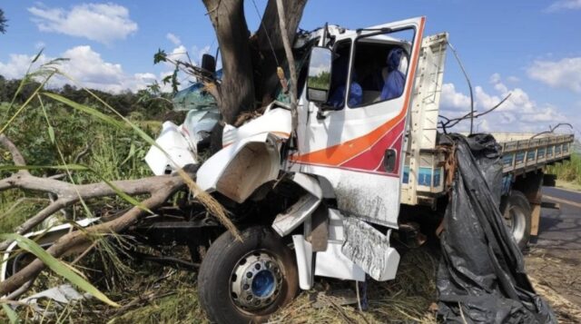 Motorista perde controle de caminhão e bate em árvore na BR-365