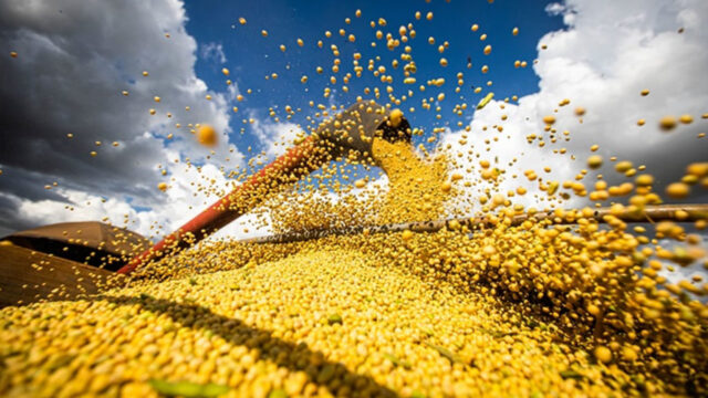 Agropecuária responde por 82,8% das exportações goianas em março