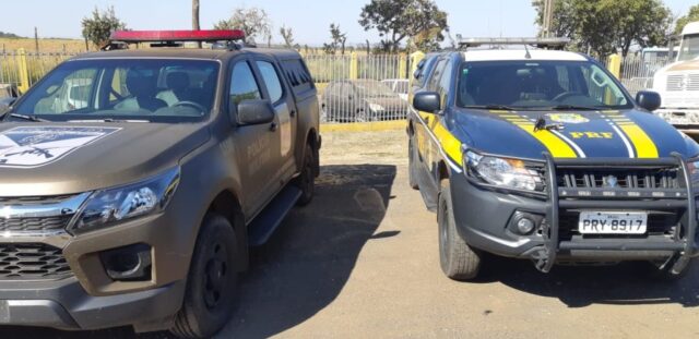 Empresário é flagrado com arma escondida na BR 050, em Catalão
