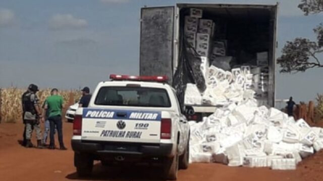 PM apreende 1,5 tonelada de maconha em Anápolis; suspeito foi morto